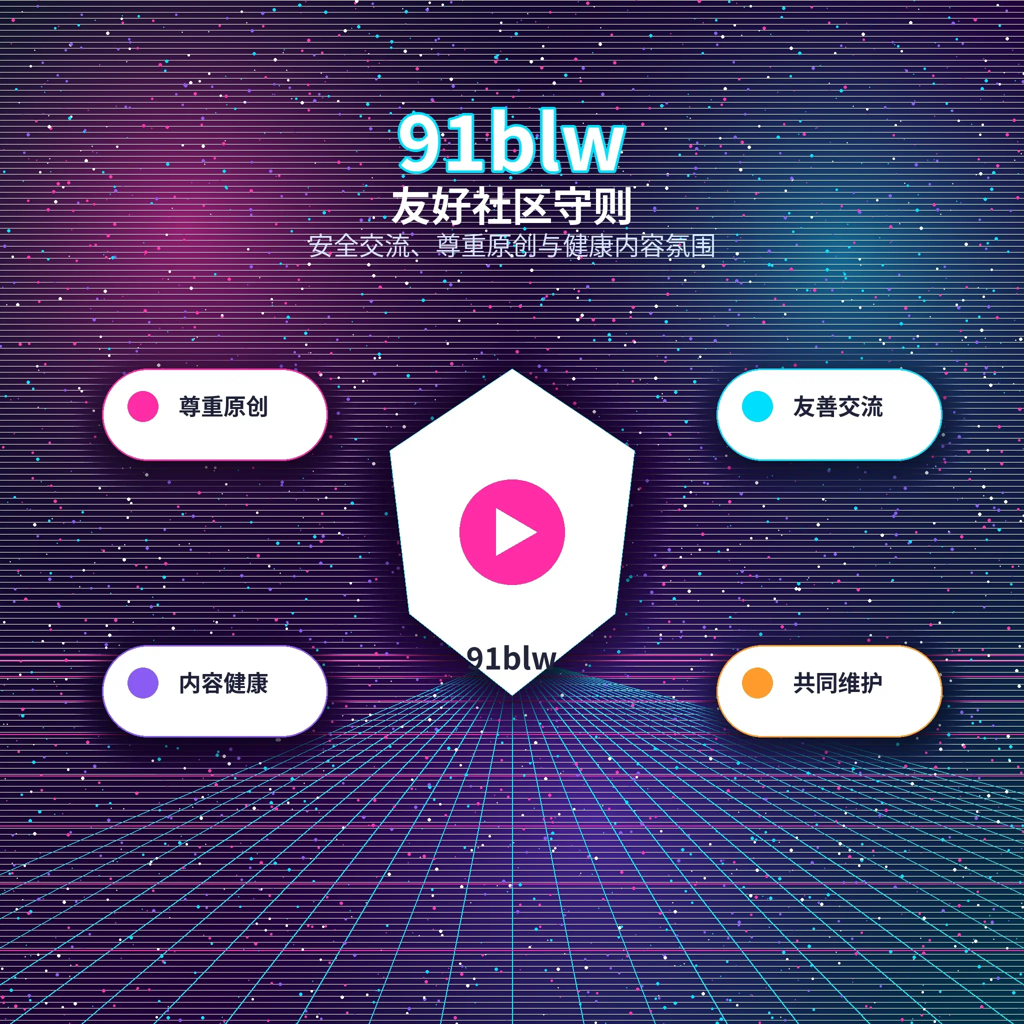 91网理性社交服务形象